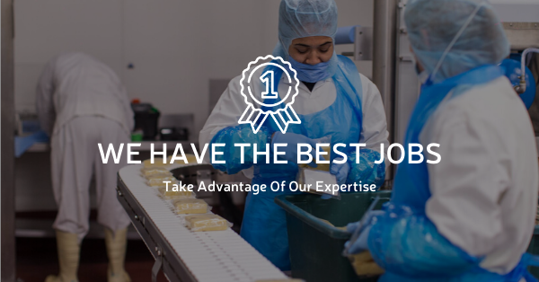 Best Jobs